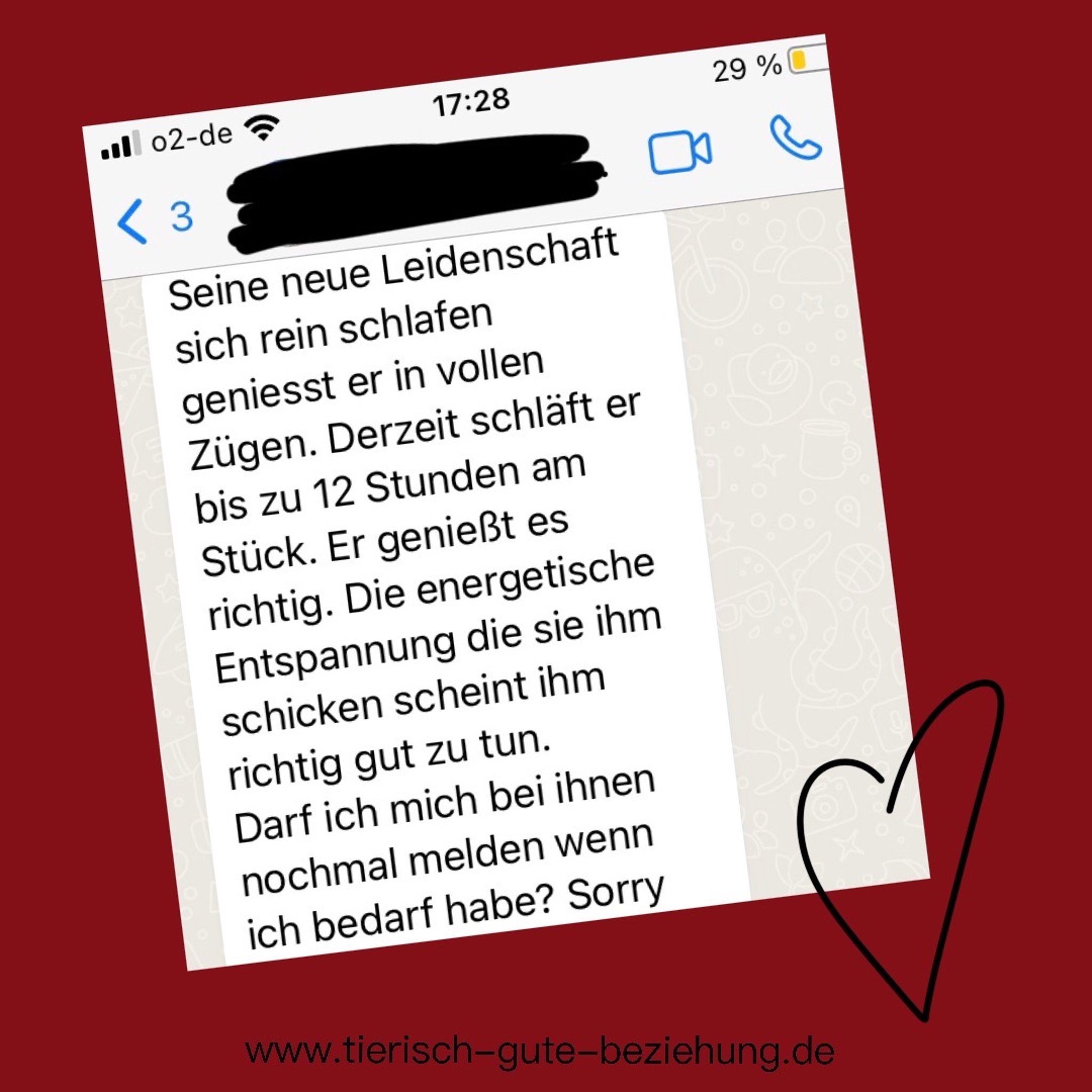 Screenshot einer positiven KundenrückmeldungText beschreibt die „neue Leidenschaft“ eines Tieres für ein Produkt (Hundebett), in dem es bis zu 12 Stunden am Stück schläft