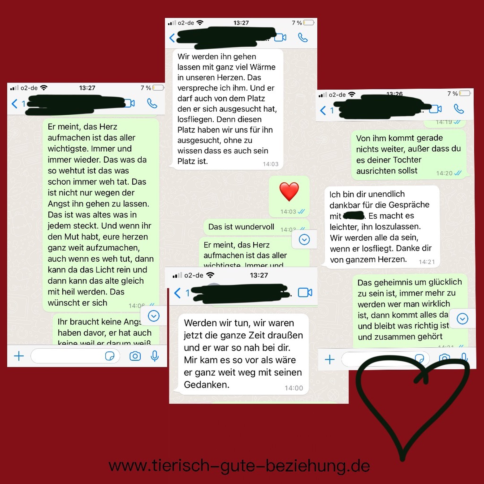 Screenshot einer Collage aus vier WhatsApp-Nachrichten. Der Dialog thematisiert die emotionale Heilung und „Herzöffnung“ eines Tieres