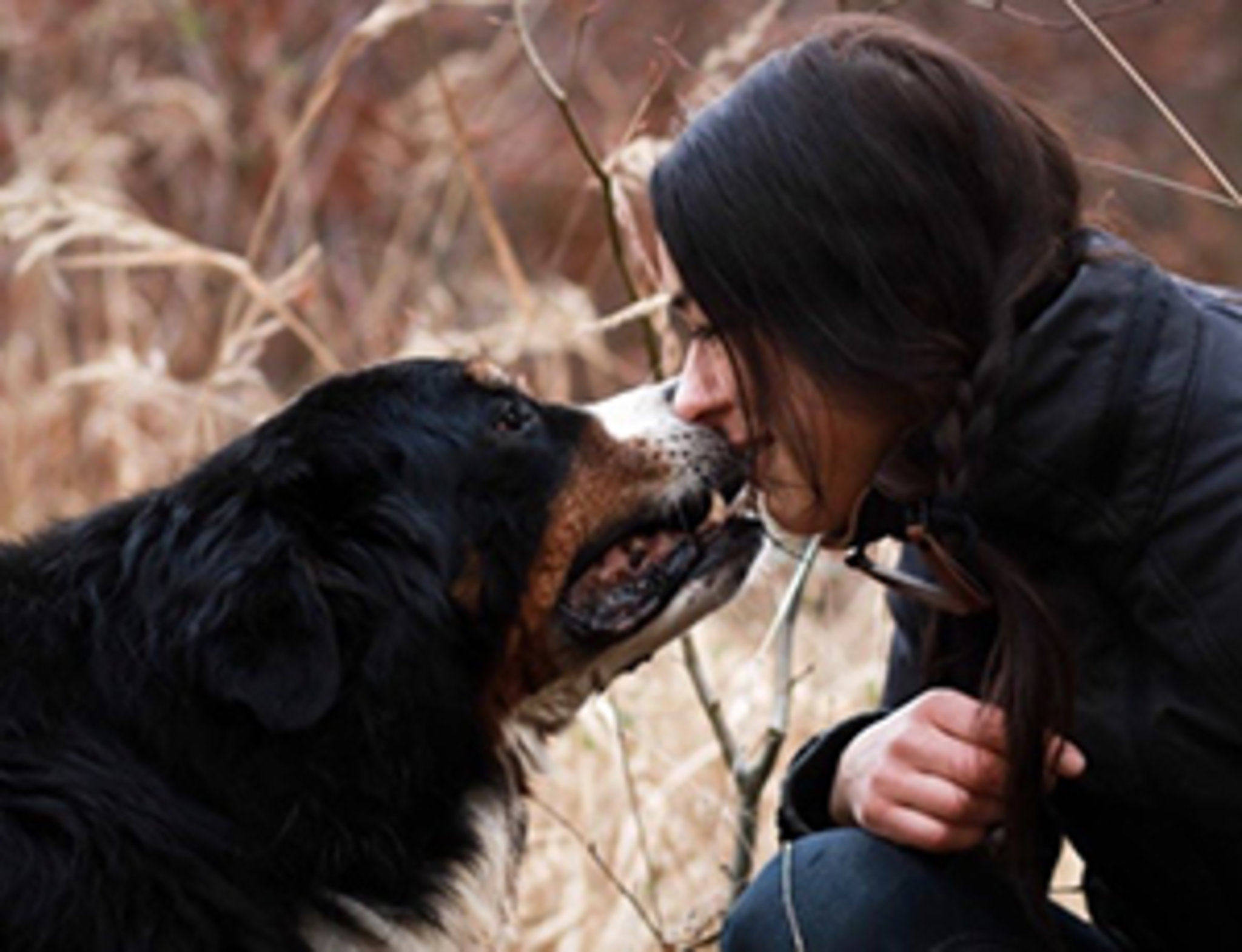  Frau und einem Berner Sennenhund, die sich im Wald sanft mit dem Gesicht berühren.