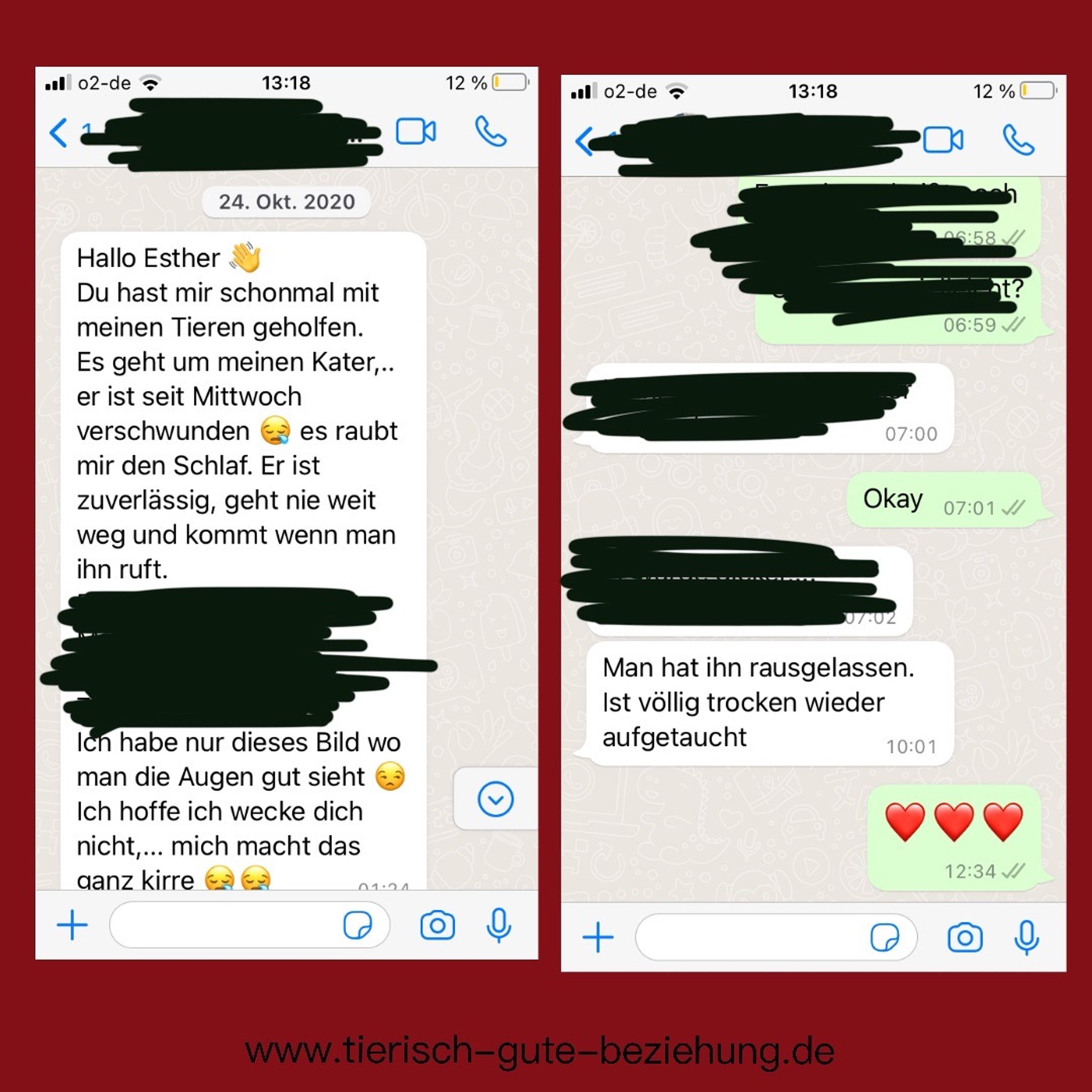 Screenshot eines WhatsApp-Dialogs (zwei Bilder) über einen vermissten Kater