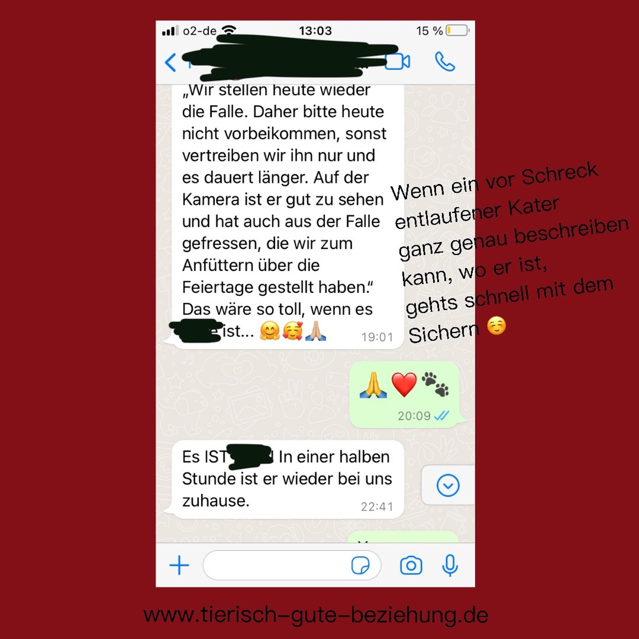 Screenshot eines WhatsApp-Dialogs über die erfolgreiche Sicherung eines entlaufenen Katers