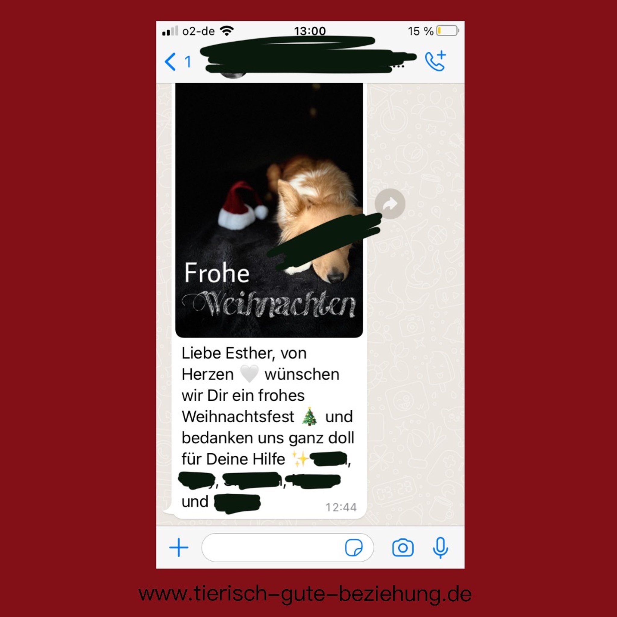 Screenshot einer herzlichen WhatsApp-Nachricht an „Esther“. Die Kunden wünschen ein frohes Weihnachtsfest und bedanken sich ausdrücklich für die Hilfe bei ihren Tieren