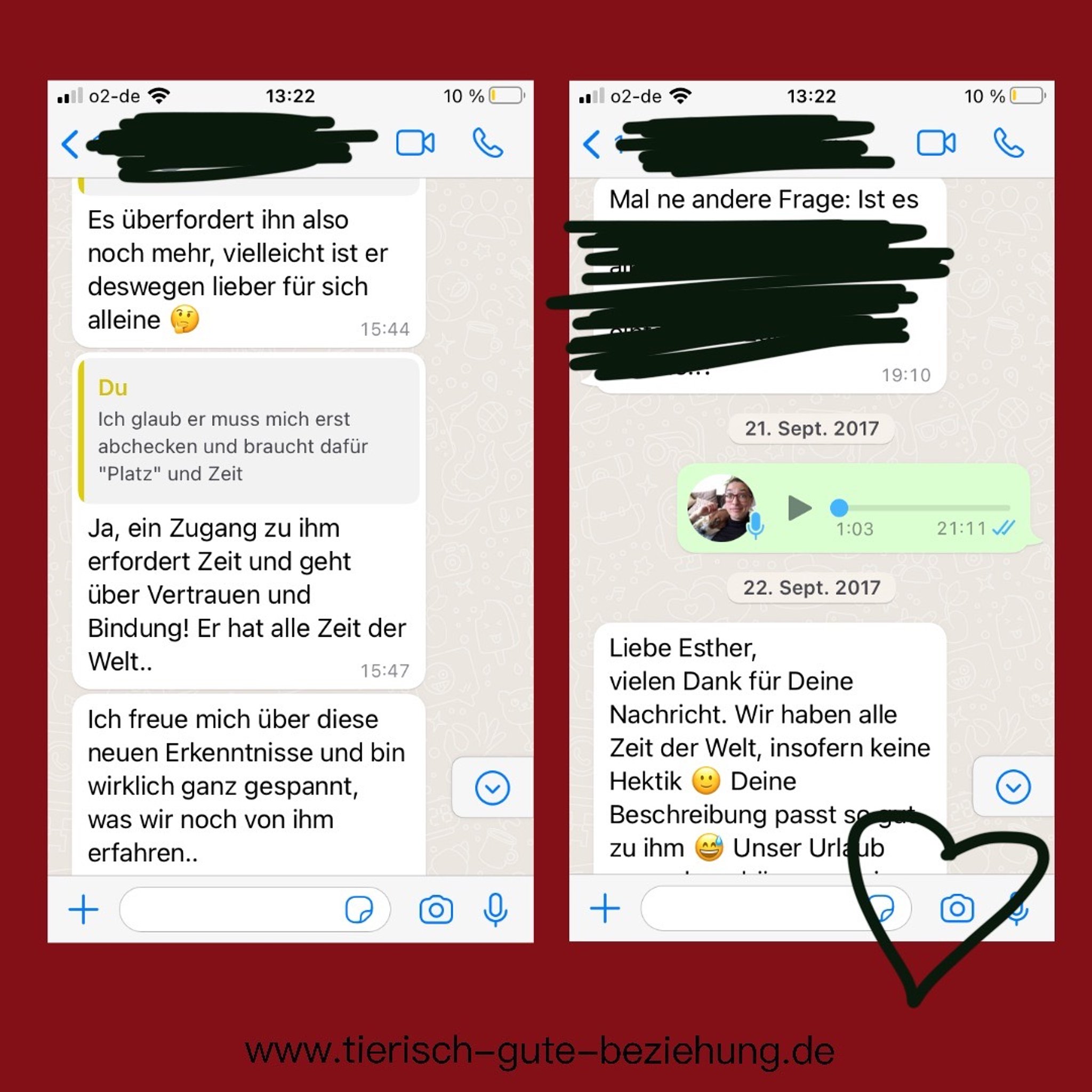 Es geht um ein Tier, das Zeit und Rückzug braucht, um Vertrauen zu fassen. Die Kundin freut sich über die neuen Erkenntnisse