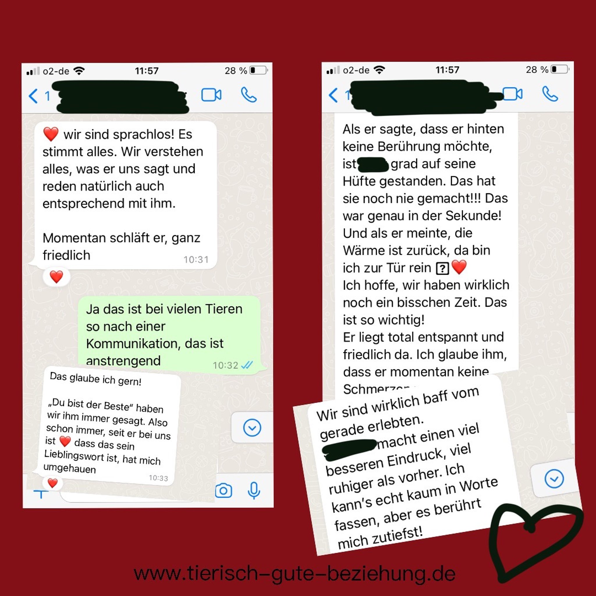 Feedback Tierisch gute Beziehung 04