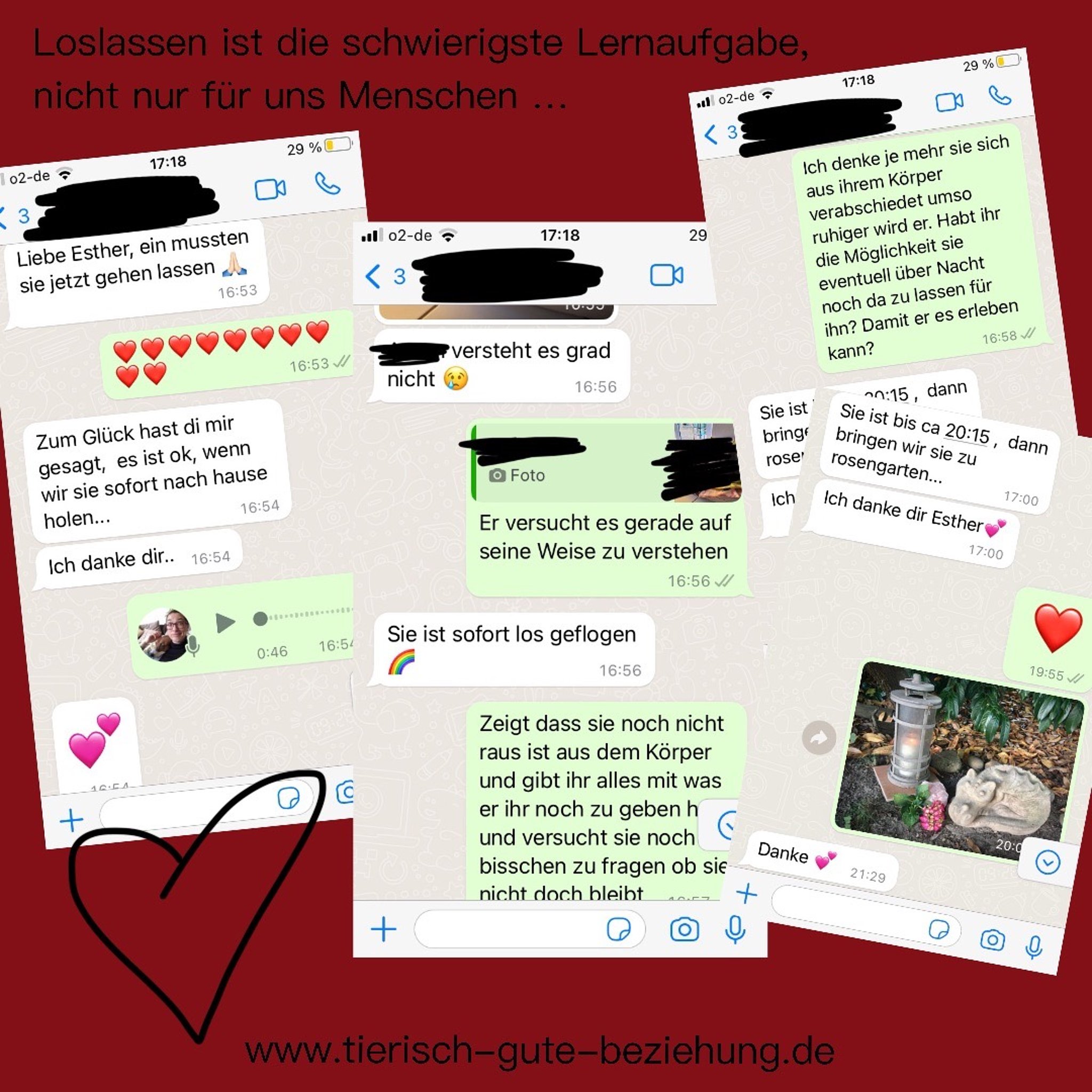 ine Kundin bedankt sich bei Esther dafür, dass sie ihr die Gewissheit gegeben hat, dass es für ihr Tier okay ist, „nach Hause zu gehen“