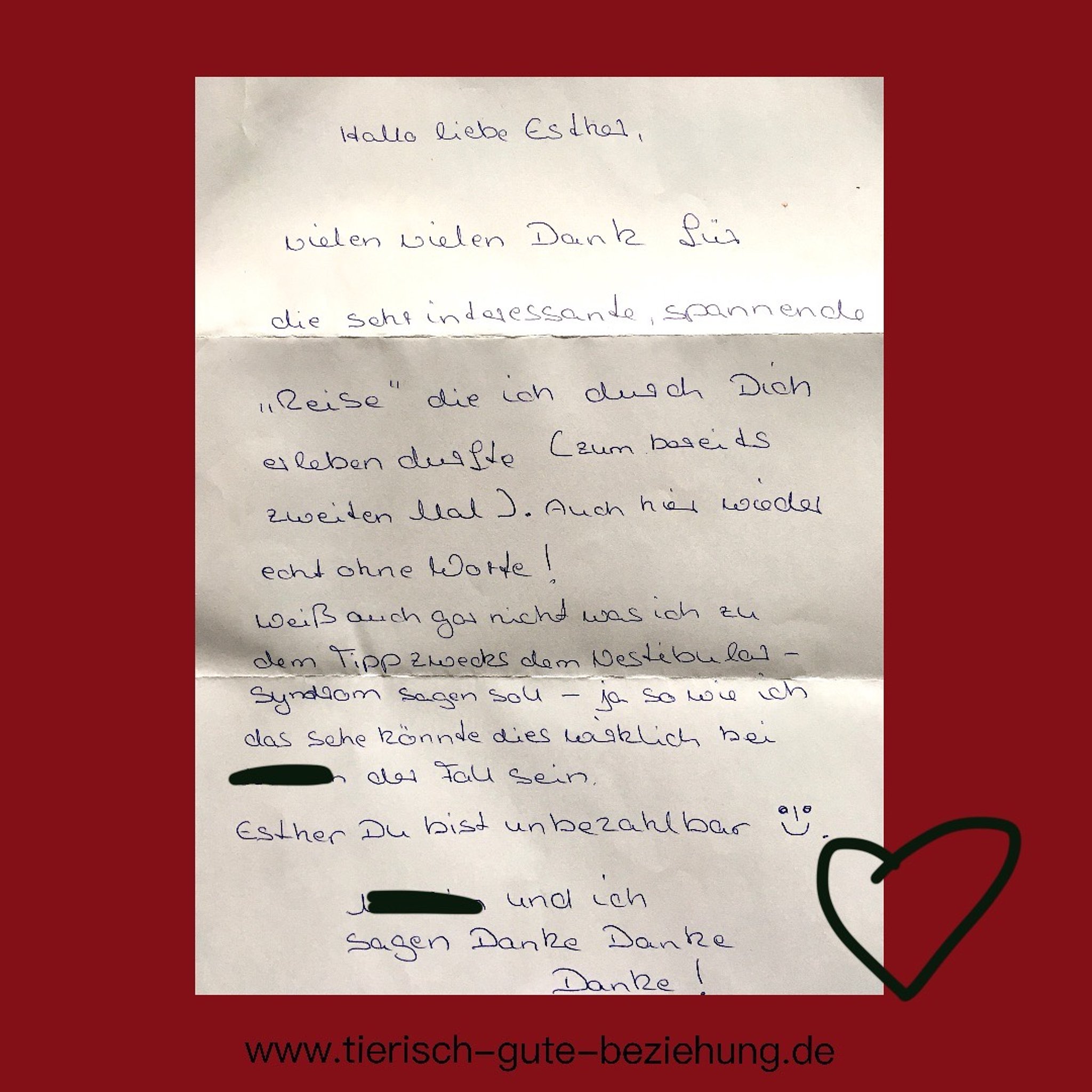 Feedback Tierisch gute Beziehung 08