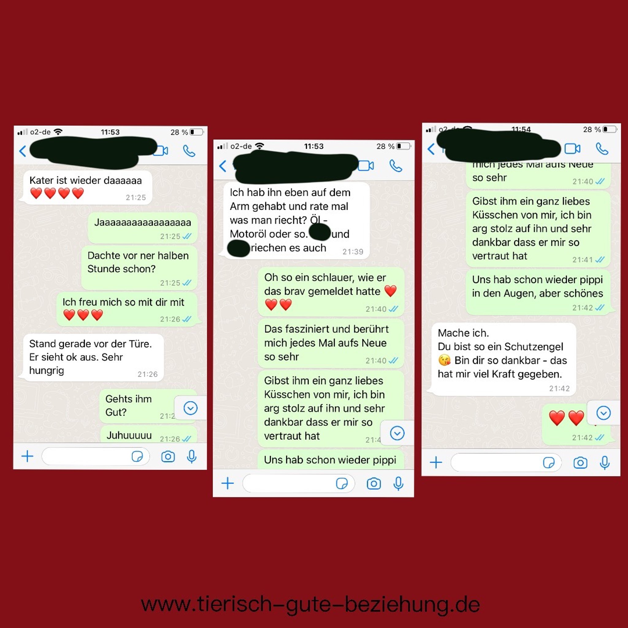Screenshot eines WhatsApp-Dialogs über drei Bilder hinweg, der eine tiefe emotionale Verbindung thematisiert