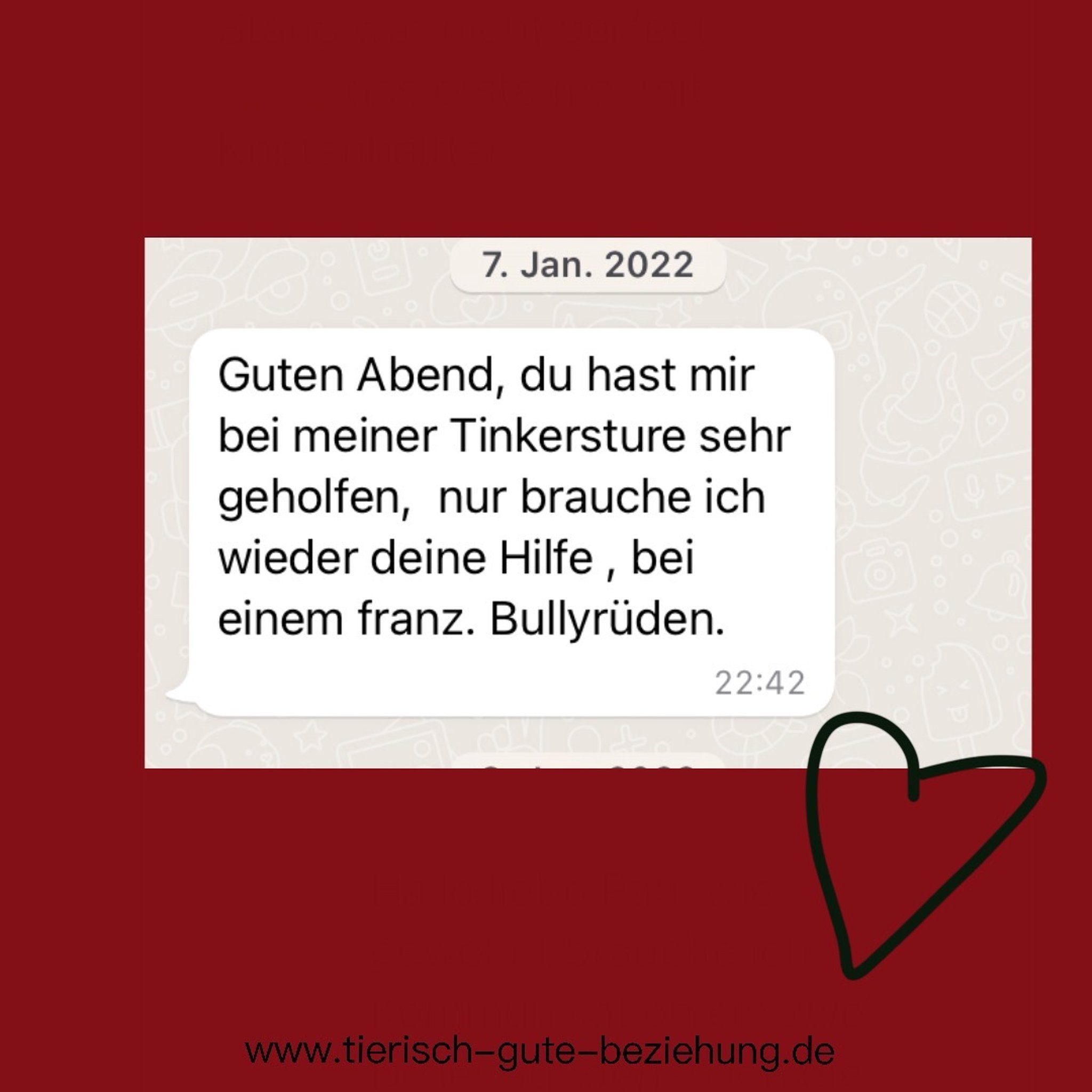 Feedback Tierisch gute Beziehung 09