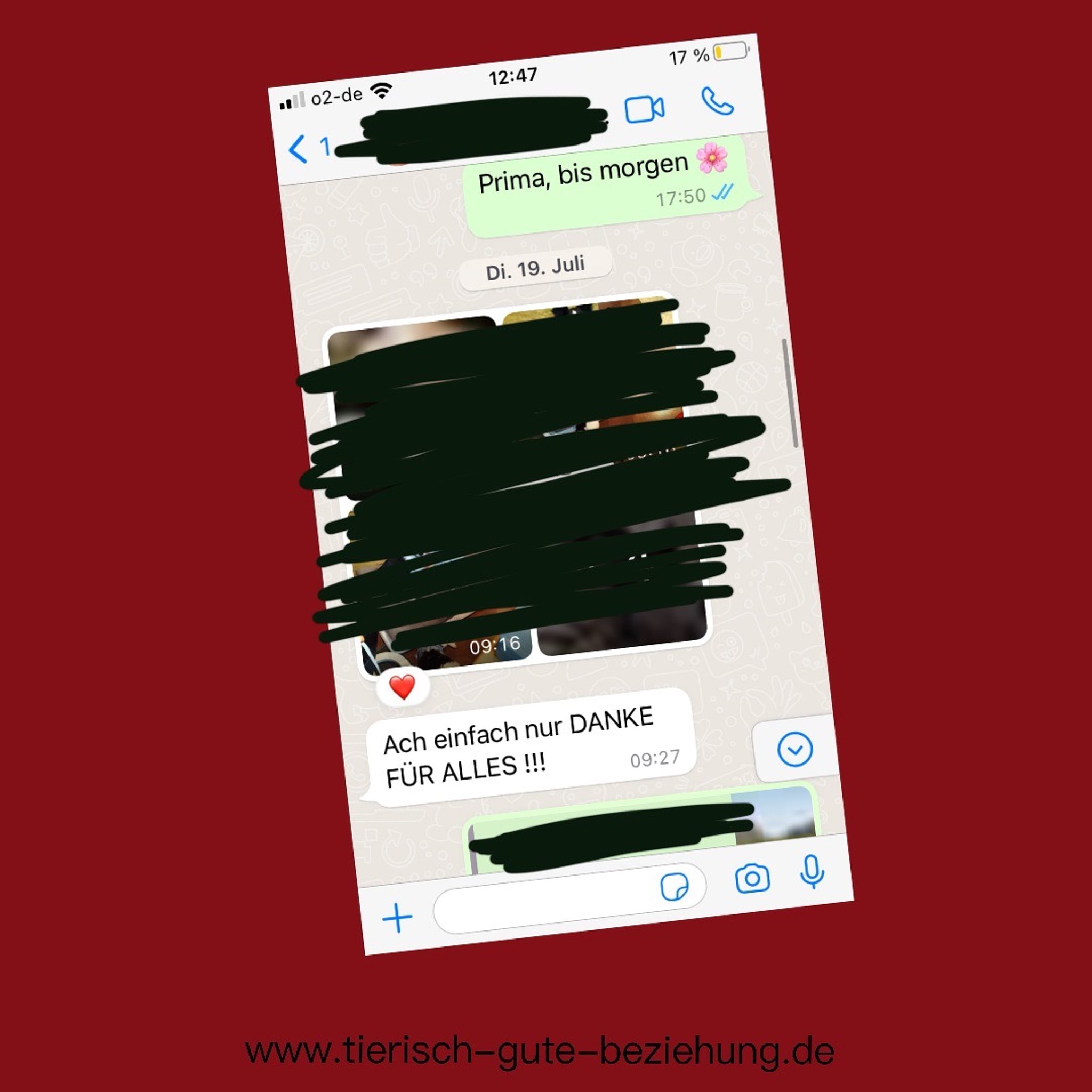 Feedback Tierisch gute Beziehung-15